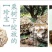 栗蘑特级