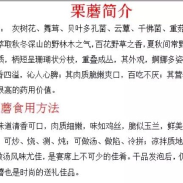 栗蘑特级