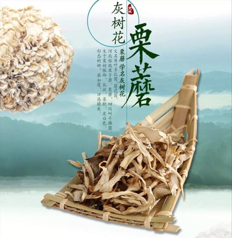栗蘑特级