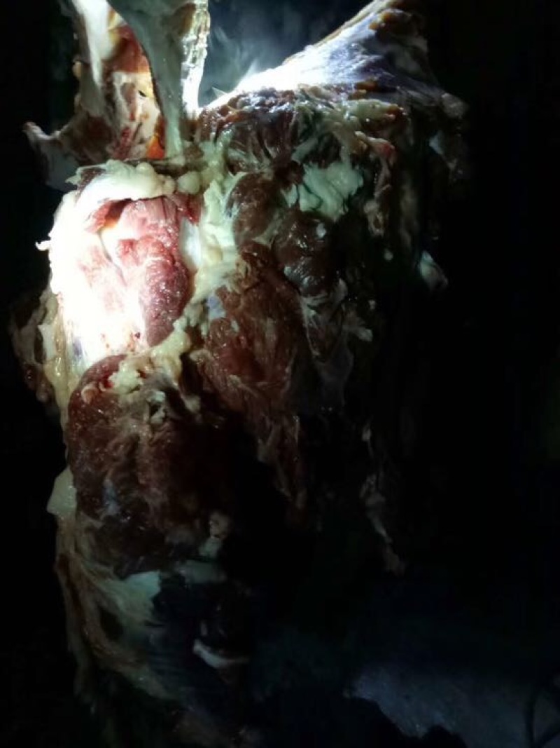 驴肉鲜货