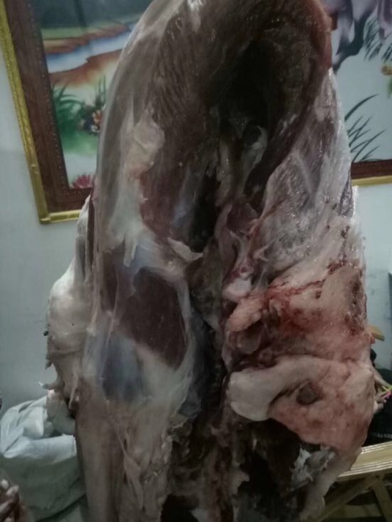驴肉鲜货