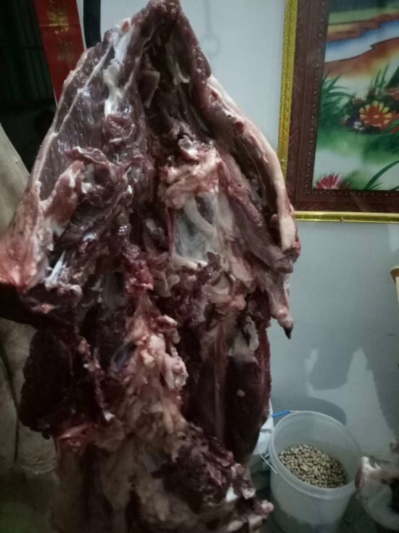驴肉鲜货