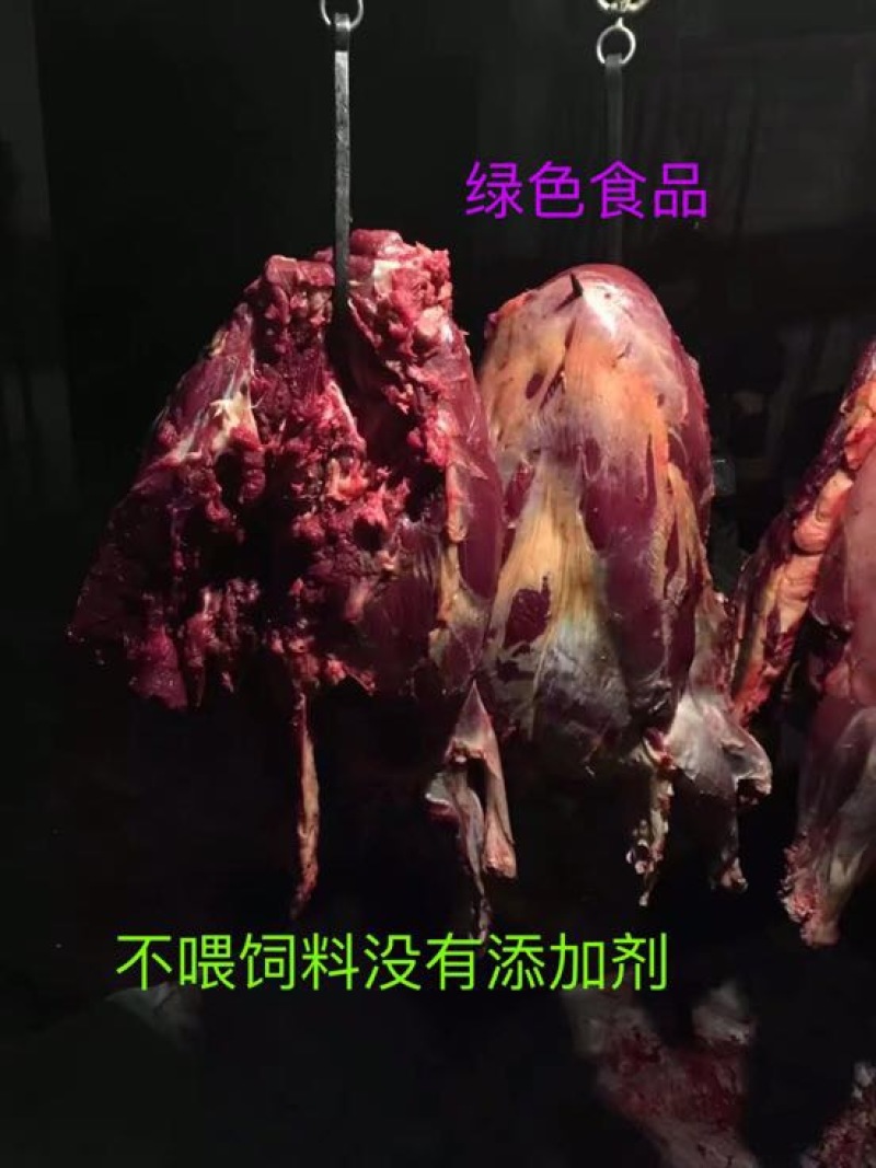 驴肉鲜货