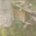 百花蜜1斤