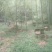 百花蜜1斤