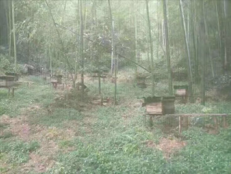 百花蜜1斤