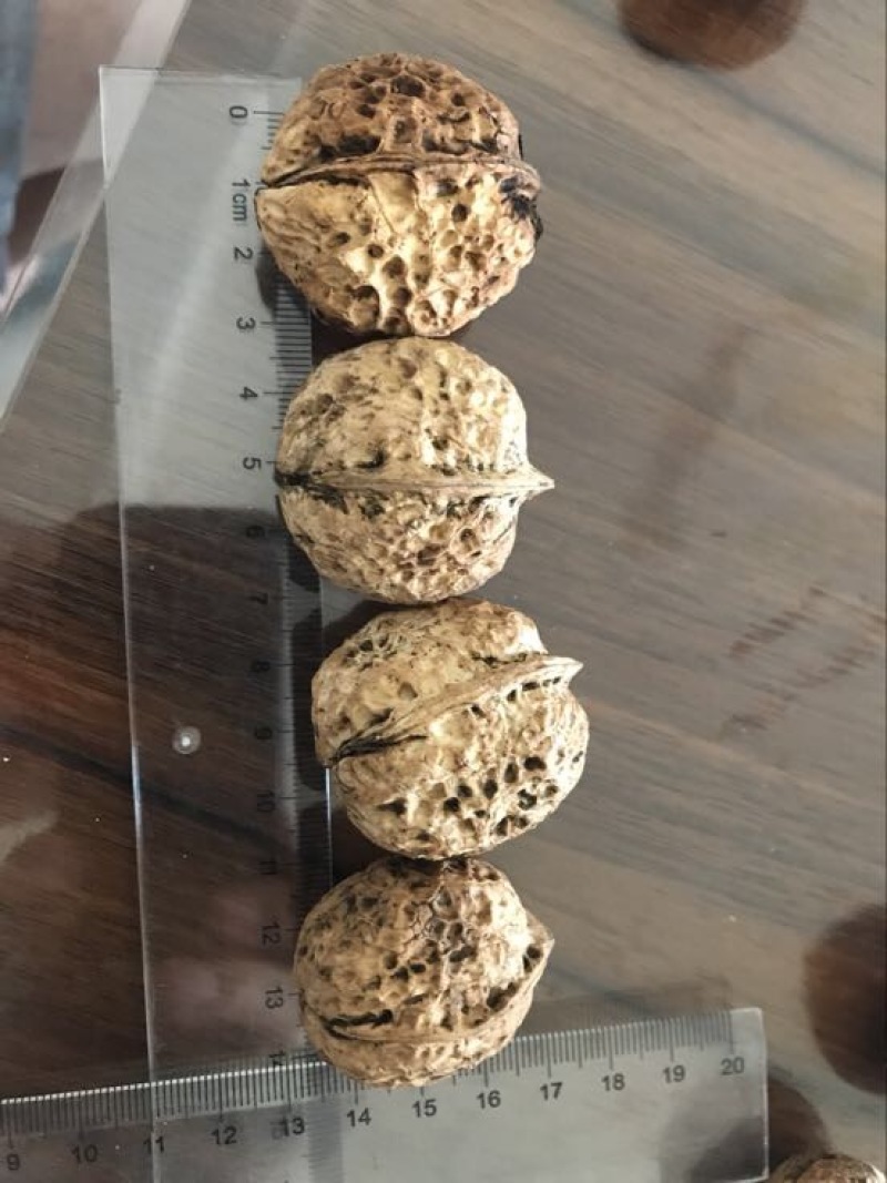 云南纸皮薄皮核桃，漾濞核桃大果