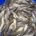 胡子鲶食用