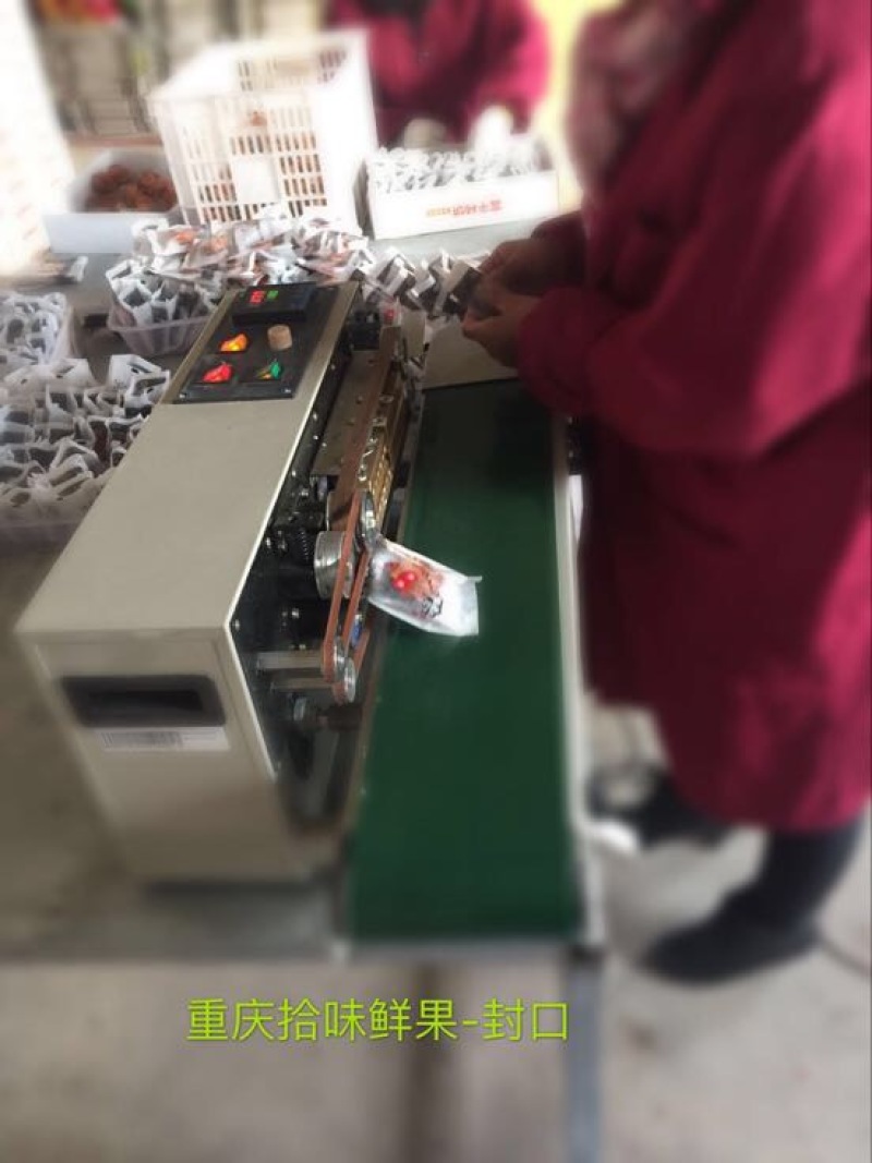 柿饼1~2两