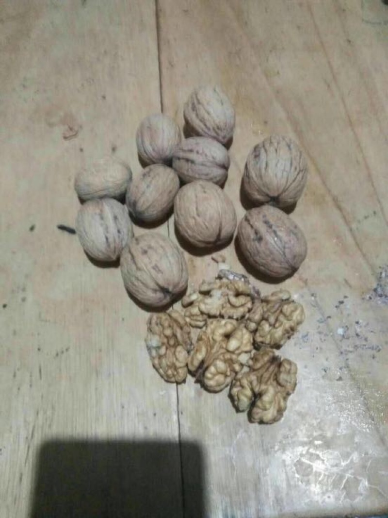 核桃去皮40mm以上干