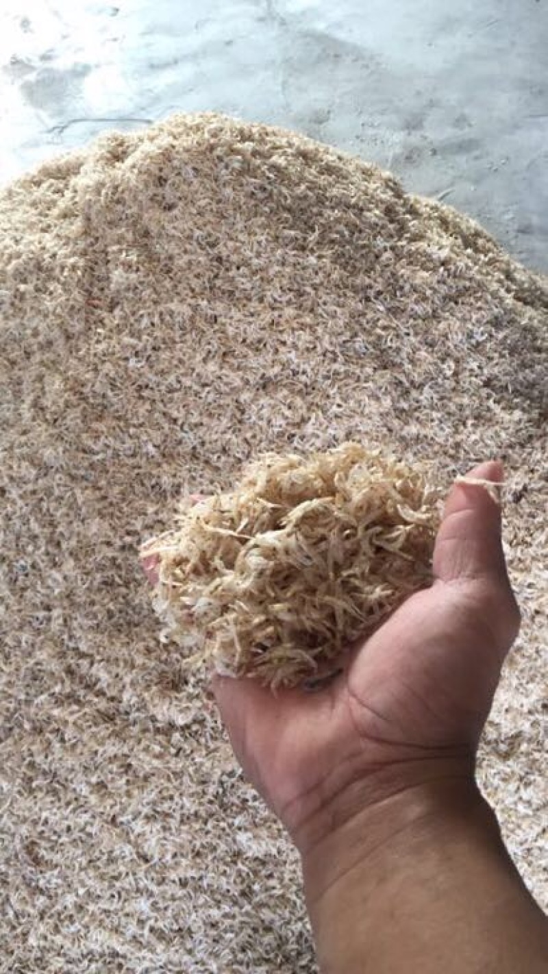 虾皮一级