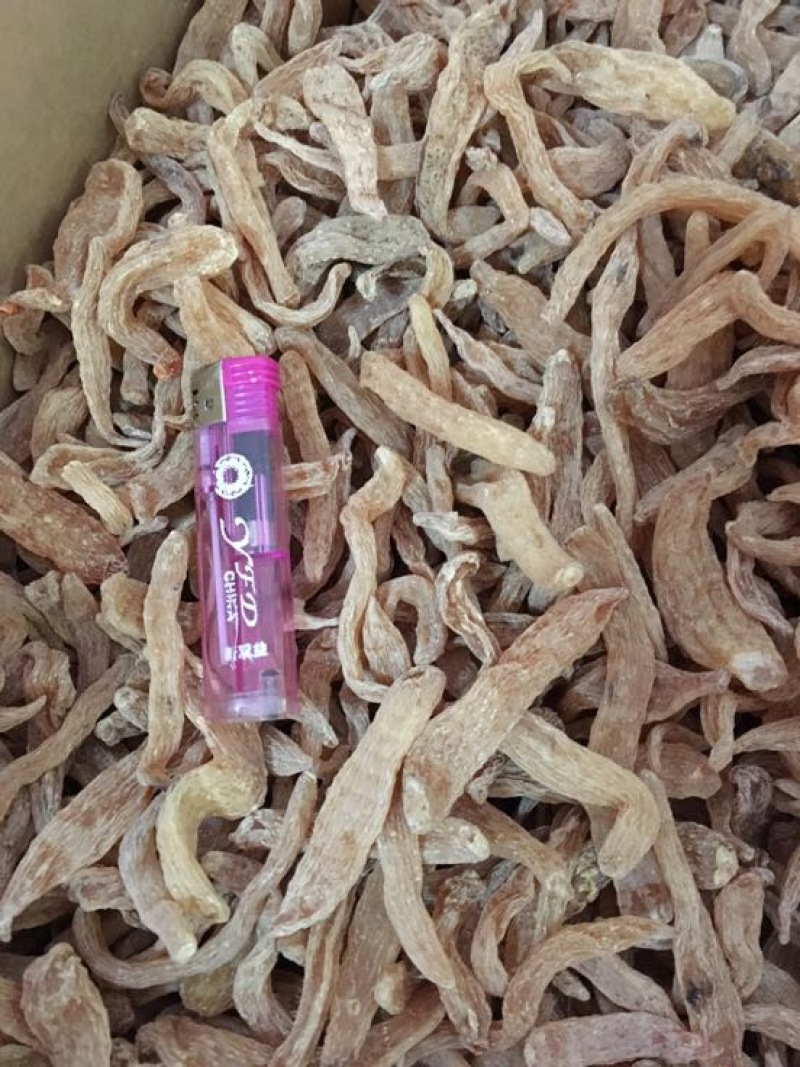 小金麻精选天麻产地直销昭通天麻批发价量大从优