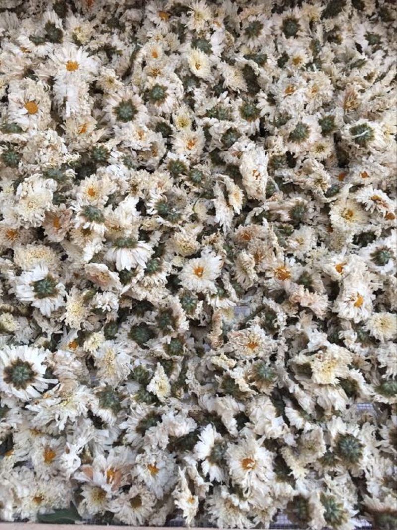 药用菊花袋装