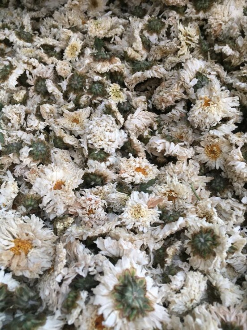 药用菊花袋装