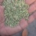 小茴香净货