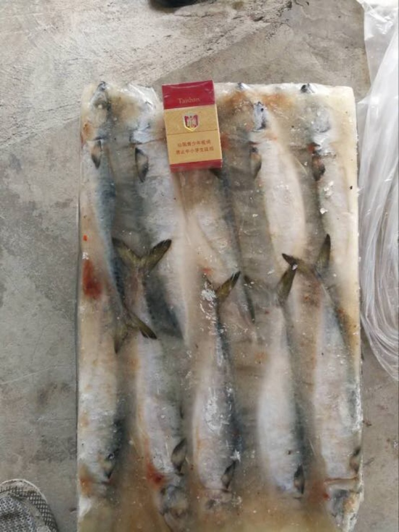 鲴鱼饲料0.5公斤以下