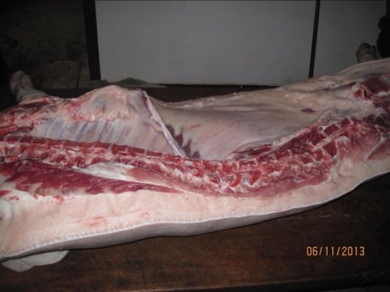猪肉生肉整猪