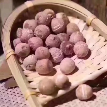 红莲子一级干莲子