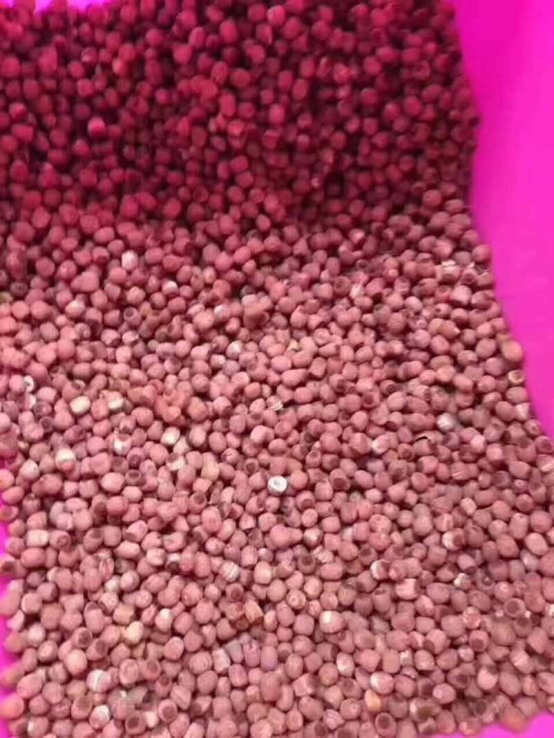 红莲子一级干莲子