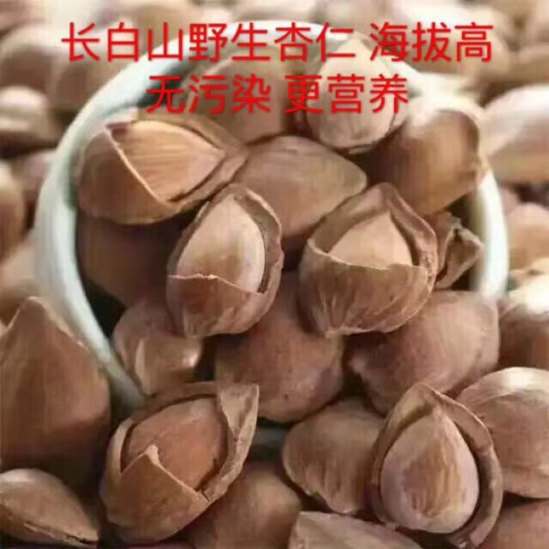 杏仁一级