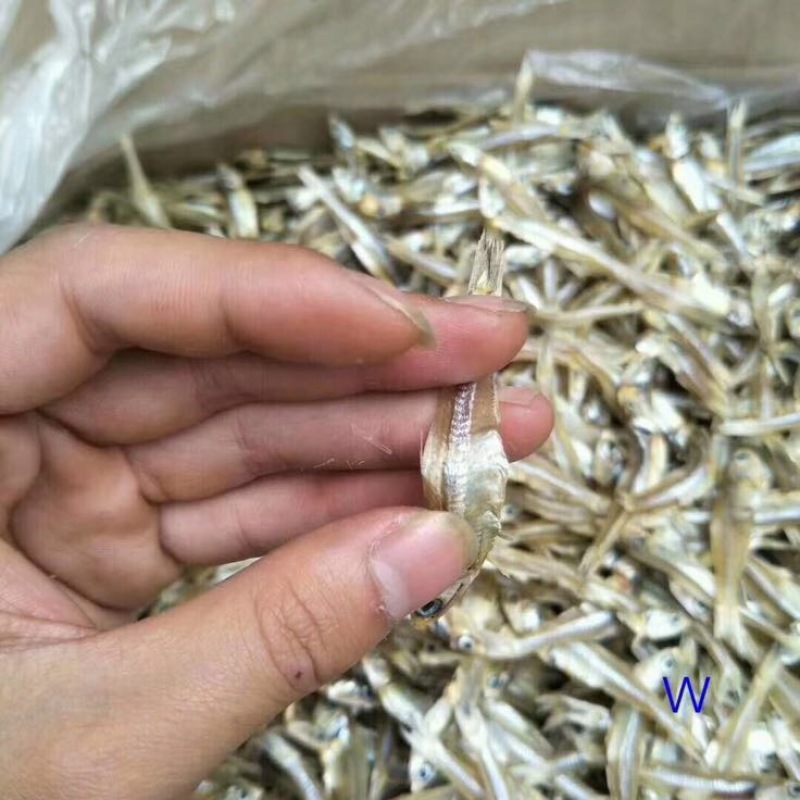 小银鱼干日晒鱼干，足干，淡干无盐，咸干，小鱼干