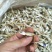 小银鱼干日晒鱼干，足干，淡干无盐，咸干，小鱼干