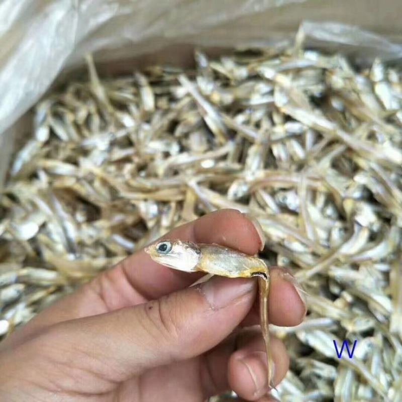 小银鱼干日晒鱼干，足干，淡干无盐，咸干，小鱼干