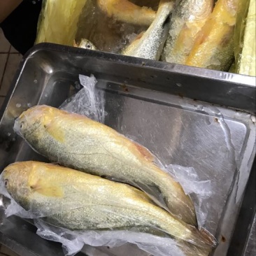 大黄鱼食用