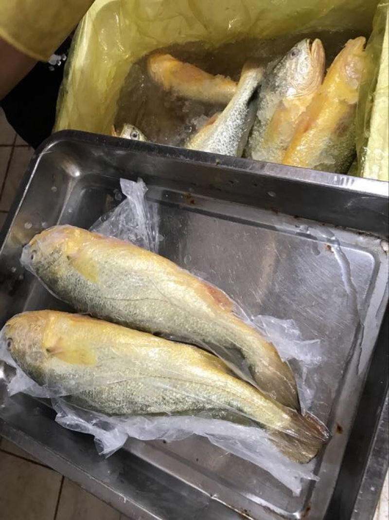 大黄鱼食用