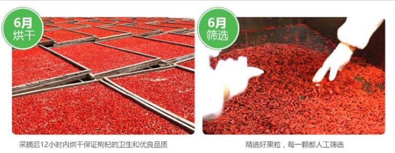 红枸杞干货二茬