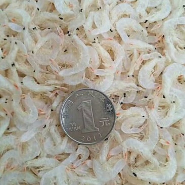 虾皮特级