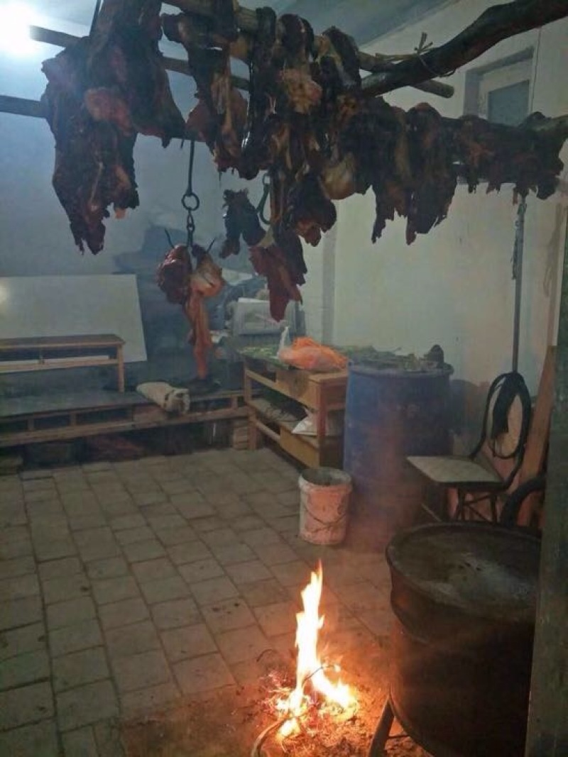马肉冷冻