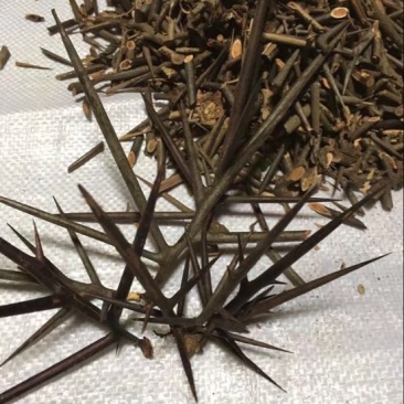 皂角刺1级