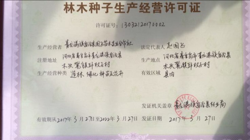 2年生黑枸杞树苗全国包邮