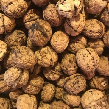纸皮核桃去皮30~35mm干