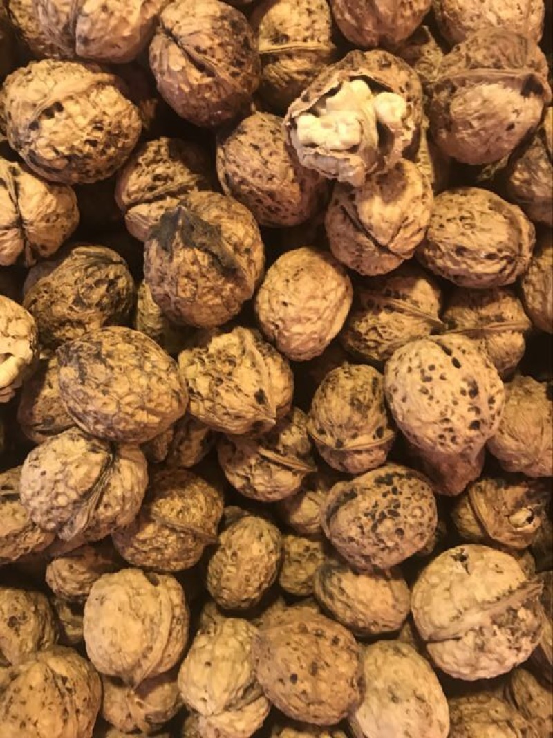 纸皮核桃去皮30~35mm干