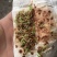 水杉种子，原生水杉母树产出的优质种子，发芽率高，包发芽