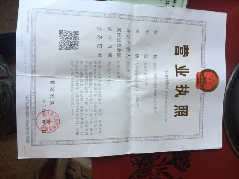 水杉种子，原生水杉母树产出的优质种子，发芽率高，包发芽