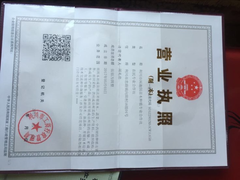 水杉种子，原生水杉母树产出的优质种子，发芽率高，包发芽