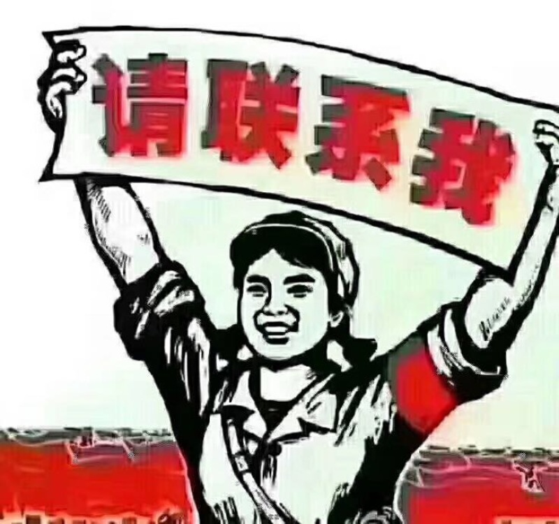 尖柿1~2两以上