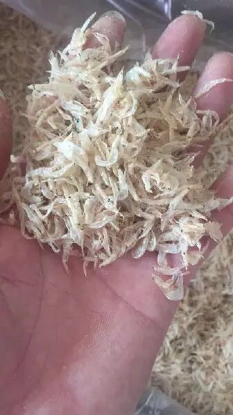 虾皮三级