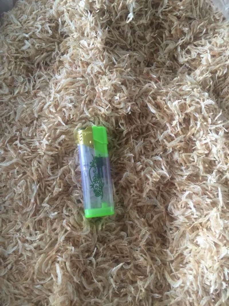 虾皮三级