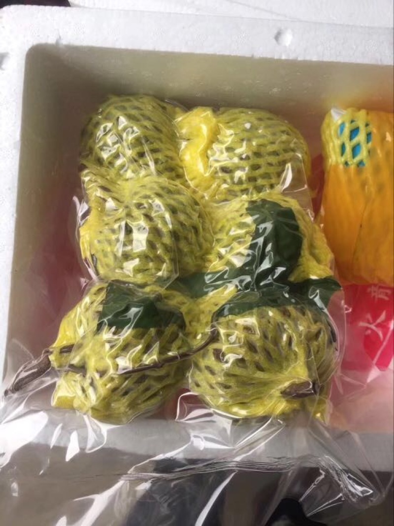 释迦一级250~300g