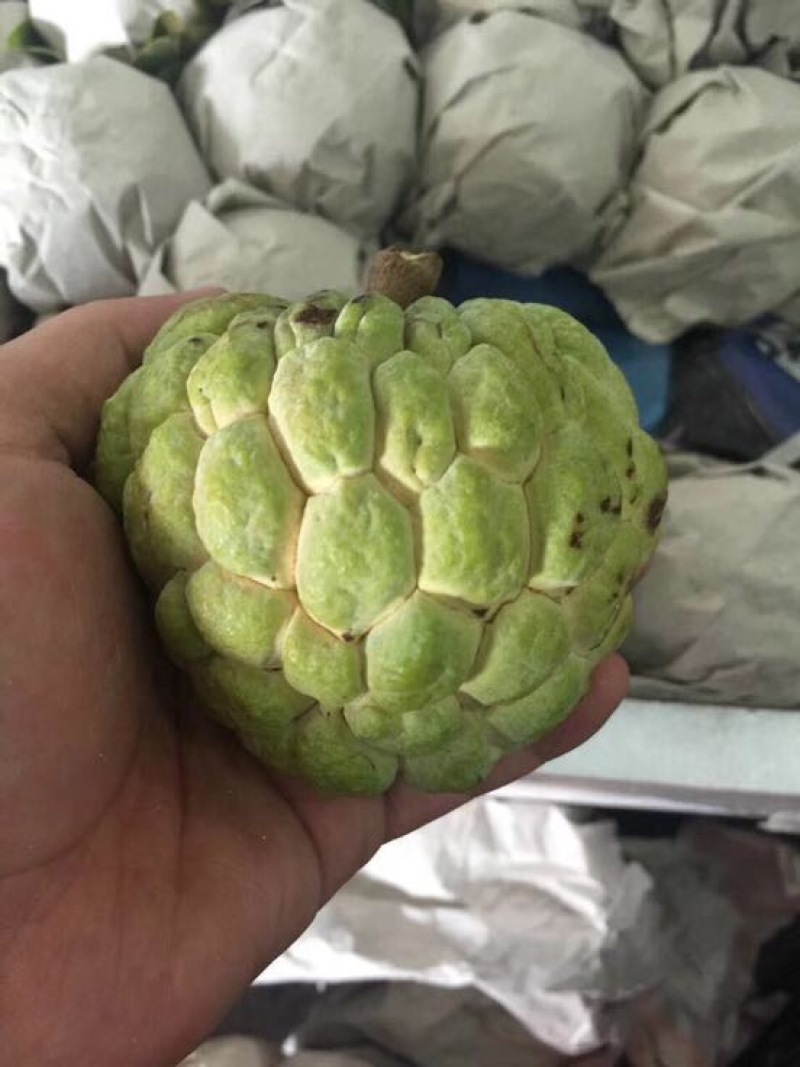 释迦一级250~300g