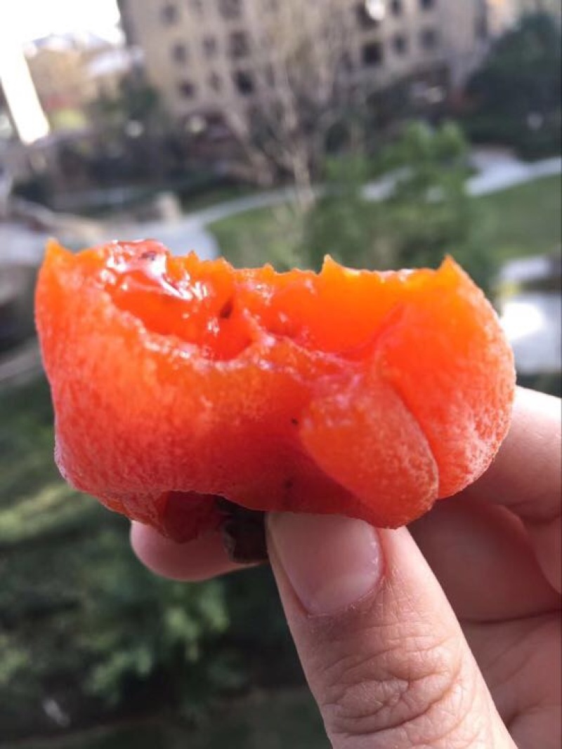 柿饼1~2两