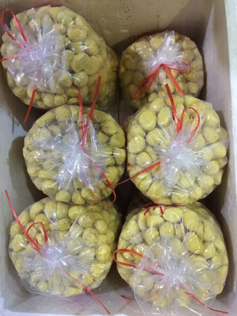油栗中栗炒栗种