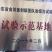 黑皮鸡枞种植基地山东四川云南种植技术鲜品干品基地直发