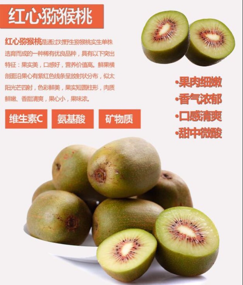 红心猕猴桃苗1~cm35~40cm嫁接苗