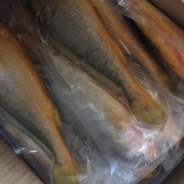 小黄鱼食用