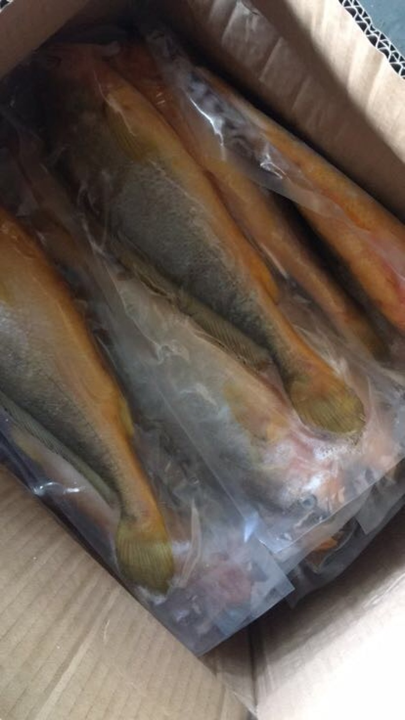 小黄鱼食用